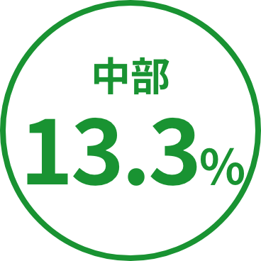 中部13.3%